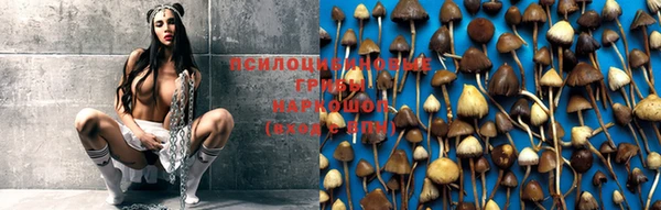 MDMA Premium VHQ Заводоуковск