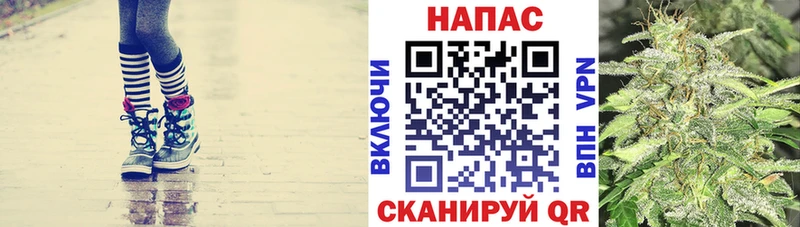 Бошки Шишки конопля Краснодар